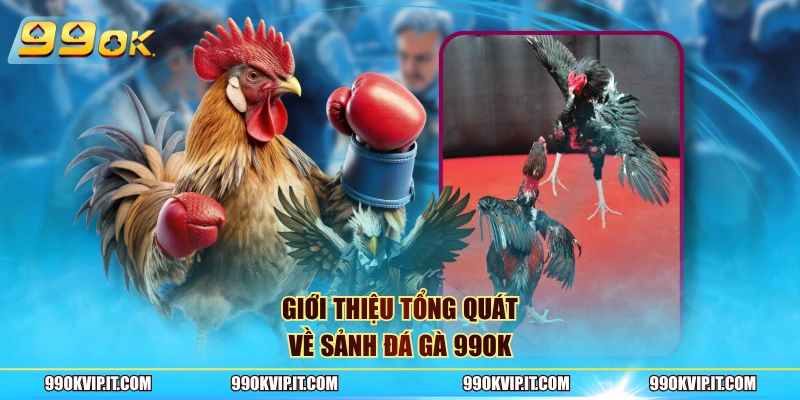 Đá Gà 99OK Giới thiệu tổng quát về sảnh đá gà 99OK