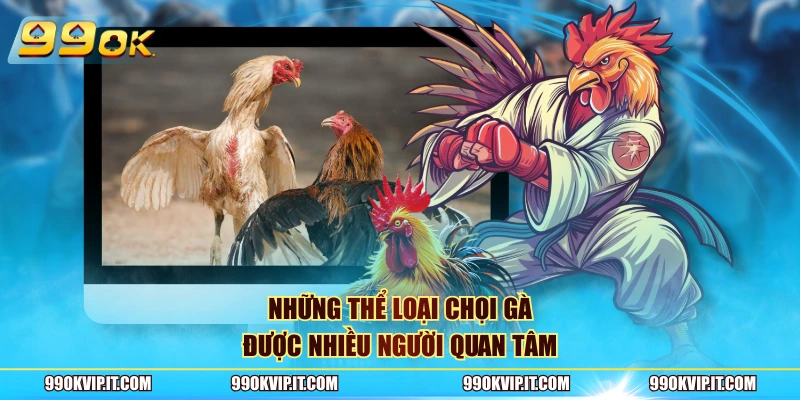 Đá Gà 99OK Những thể loại chọi gà được nhiều người quan tâm